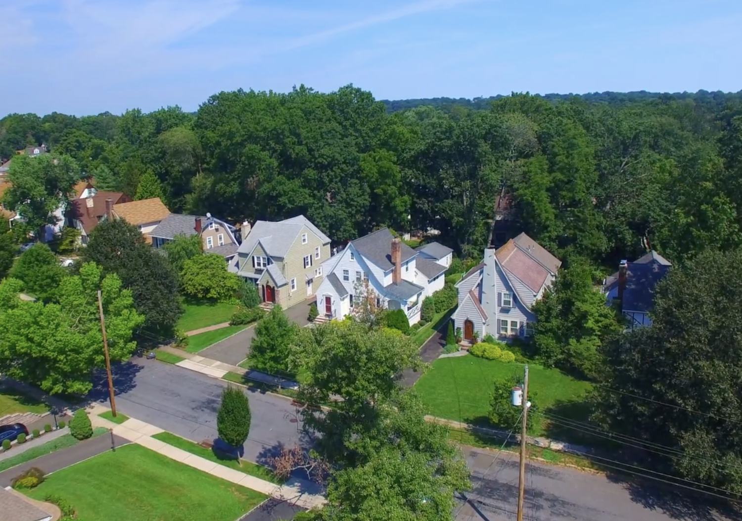 Aerial view of a Millburn single-family neighborhood