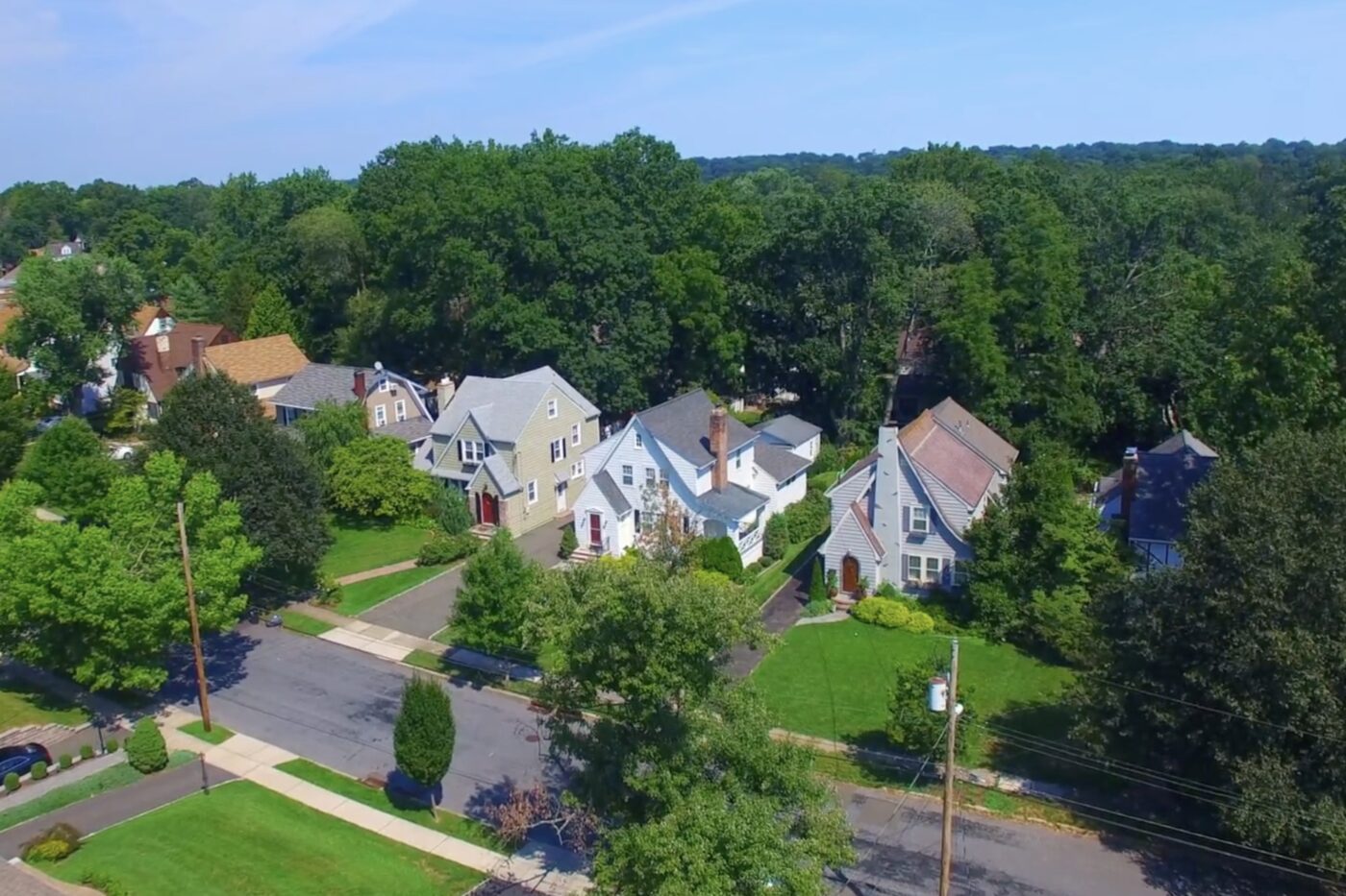 Aerial view of a Millburn street of single-family homes surrounded by mature trees